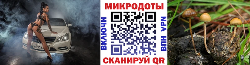 где купить наркоту  Михайлов  mega зеркало  Псилоцибиновые грибы мицелий 